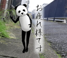 a man called PANDA soto sticker #14047335