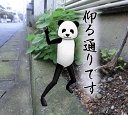 a man called PANDA soto sticker #14047347