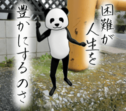 a man called PANDA soto sticker #14047356