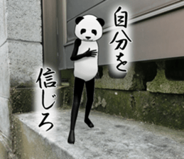 a man called PANDA soto sticker #14047370