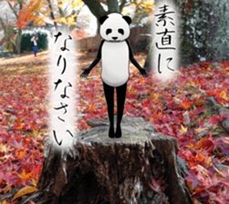 a man called PANDA soto sticker #14047372