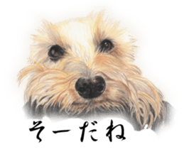 Realistic dog5 sticker #14047991