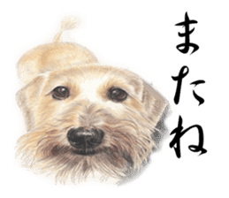 Realistic dog5 sticker #14047996