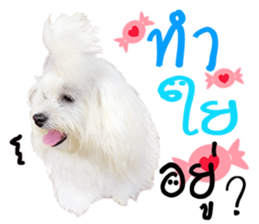 Mutu My Dog sticker #14049992
