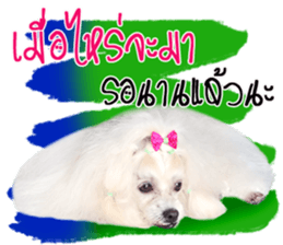 Mutu My Dog sticker #14049993