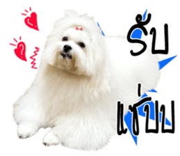 Mutu My Dog sticker #14050002