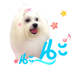 Mutu My Dog sticker #14050005