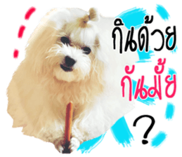 Mutu My Dog sticker #14050007