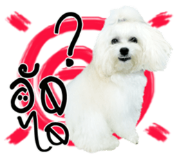 Mutu My Dog sticker #14050012