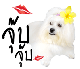 Mutu My Dog sticker #14050015