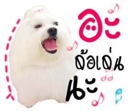 Mutu My Dog sticker #14050017