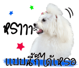 Mutu My Dog sticker #14050020