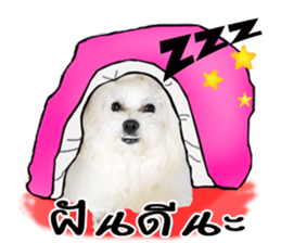 Mutu My Dog sticker #14050021