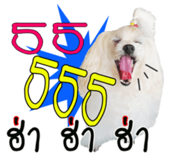 Mutu My Dog sticker #14050026