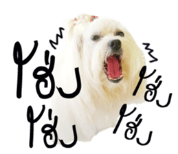 Mutu My Dog sticker #14050028
