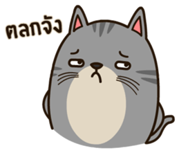 Salid This Funny Cat sticker #14051976