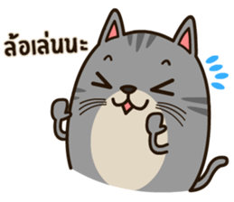 Salid This Funny Cat sticker #14051977