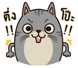 Salid This Funny Cat sticker #14051978