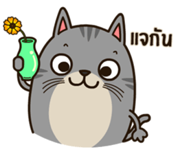 Salid This Funny Cat sticker #14051981