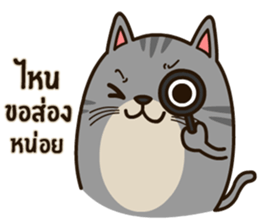 Salid This Funny Cat sticker #14051986