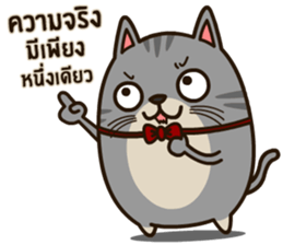 Salid This Funny Cat sticker #14051987