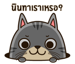 Salid This Funny Cat sticker #14051988