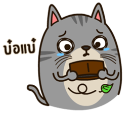 Salid This Funny Cat sticker #14051991