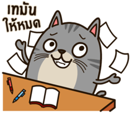 Salid This Funny Cat sticker #14051992