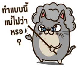 Salid This Funny Cat sticker #14051993