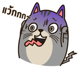 Salid This Funny Cat sticker #14051997