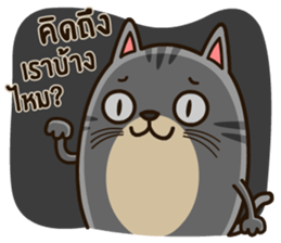 Salid This Funny Cat sticker #14052003