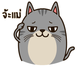 Salid This Funny Cat sticker #14052005