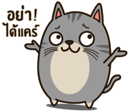 Salid This Funny Cat sticker #14052008