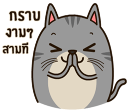 Salid This Funny Cat sticker #14052009