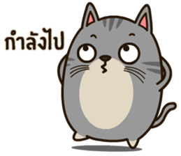 Salid This Funny Cat sticker #14052010