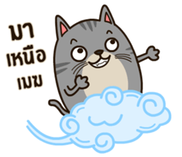 Salid This Funny Cat sticker #14052011