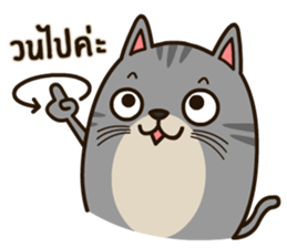 Salid This Funny Cat sticker #14052012