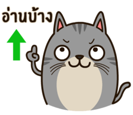 Salid This Funny Cat sticker #14052013