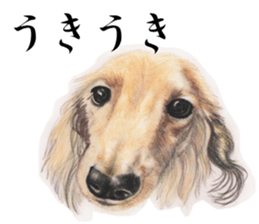 Realistic dog3 sticker #14052170