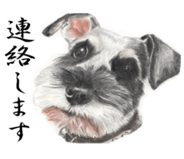 Realistic dog3 sticker #14052171