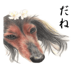 Realistic dog3 sticker #14052176