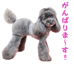 SENA's Friends sticker #14054830