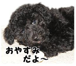 SENA's Friends sticker #14054831