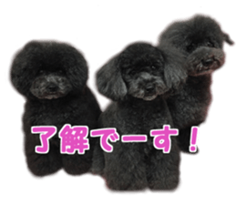 SENA's Friends sticker #14054834