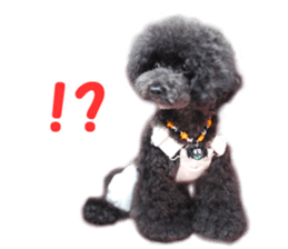 SENA's Friends sticker #14054835