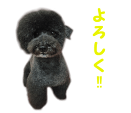 SENA's Friends sticker #14054836