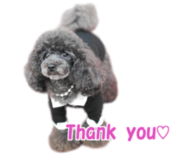 SENA's Friends sticker #14054839