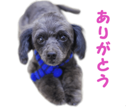 SENA's Friends sticker #14054841