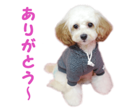 SENA's Friends sticker #14054842