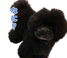 SENA's Friends sticker #14054843